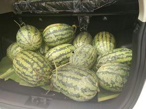 娱乐圈搬凳子吃瓜,搬凳子围观吃瓜大戏