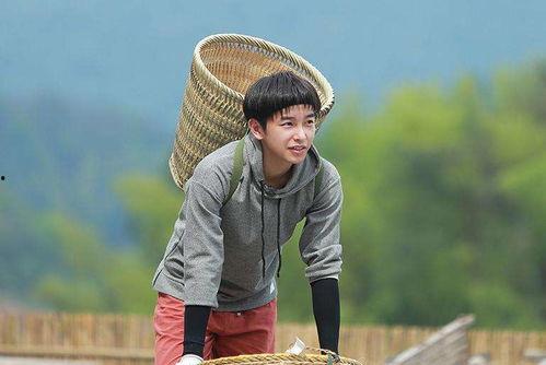 娱乐圈的吃瓜少年,揭秘明星幕后故事