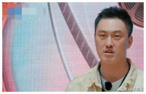 娱乐圈爆料吃瓜明星号,明星号背后的真实爆料风云