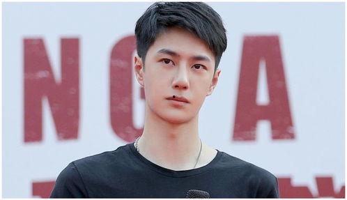 娱乐吃瓜肖战王一博,娱乐圈的瓜田，谁主沉浮？