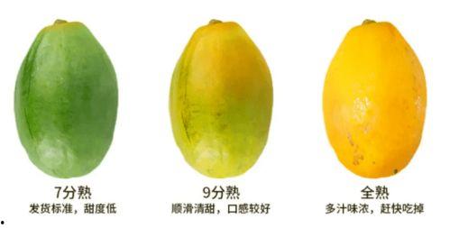 娱乐吃瓜免费吃瓜入口,吃瓜入口等你来开启！