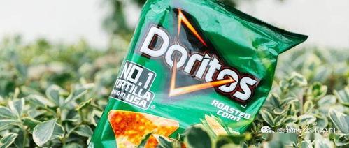 娱乐吃瓜小丸,揭秘娱乐圈那些吃瓜背后的故事