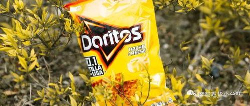 娱乐吃瓜小丸,揭秘娱乐圈那些吃瓜背后的故事